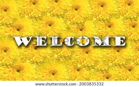 Design welcome front it isolated on yellow chrysanthemum flowers texture background for design or stock photo