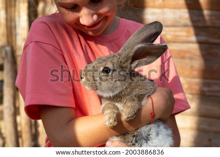 A child holding a cute gray rabbit looking at camera in a petting zoo or a farm. Feeding domestic animals. Breeding, love and caring for pets. Easter bunny in kindergarten for pets.
