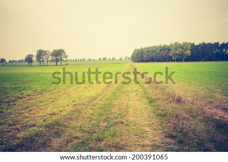 vintage photo of grassland landscape
