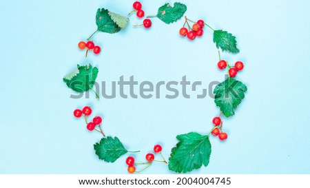 Autumn leaves background. Dried leaves, green leafs, red fruits Rowans in shape circle isolated on pastel blue background. Concept of Thanksgiving day or Halloween