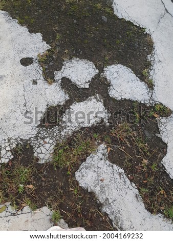 close-up photo of moss growing on a damaged cement road, perfect for a nature-themed background