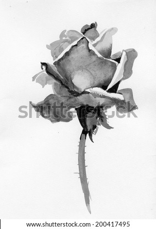 Handdrawn rose in sketch-style, isolated on white background vector 