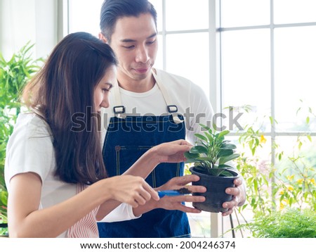 Portrait lover Handsome young man Beautiful Asian woman wearing white T-shirt And apron Helping each other to organize trees And watering plants in small pots In room arrange trees with love happily.