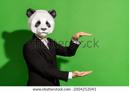 Photo of promoter corporate guy hands hold empty space wear panda head black suit isolated on green color background