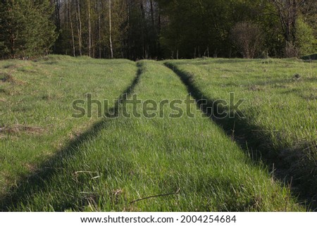 The Road On The Field. Rural landscape. Country Background