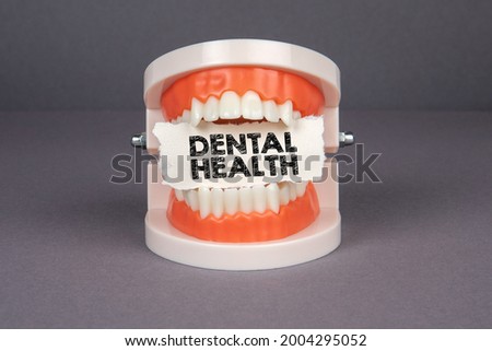 Dental Health. Sheet of paper inserted in the teeth of a plastic tooth model.