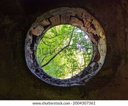 view of nature through an old and broken round window.