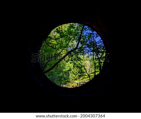 view of nature through an old and broken round window.