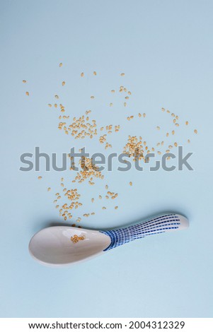 Asian white porcelain spoon with painted blue motifs, sesame seeds on light blue background.