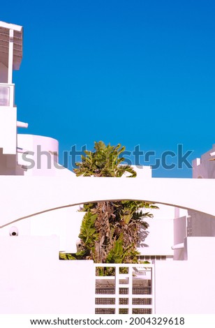 Fashion Canarian minimal geometry house and palm tree. Travel aesthetic stylish wallpaper