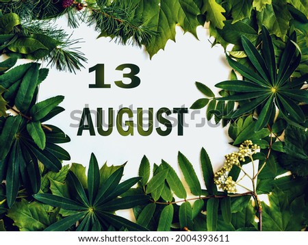 August 13, 13th day of month. Composition of natural green leaves with paper card.. Summer month. Concept of Day of Year.