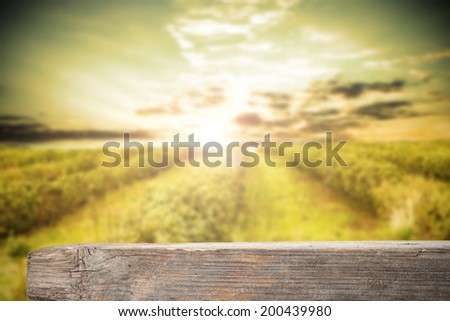 rural landscape of farm and sky of sunset 