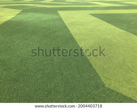 Unique grass patterns in a park