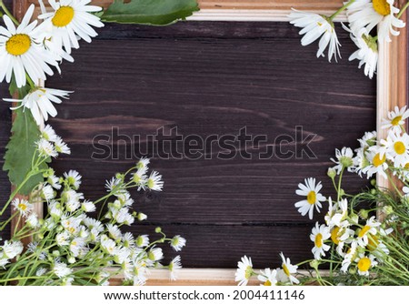 On a wooden background there is a picture frame and several types of daisies.