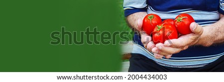 harvest of tomatoes in the hands of a man. Selective focus.nature