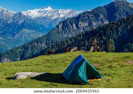 Tent in Himalayas mountains with flock of sheep grazing. Kullu Valley, Himachal Pradesh, India Royalty-Free Stock Photo #2004435965