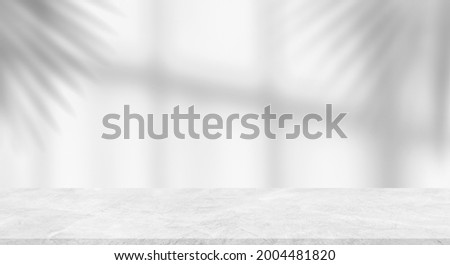 Gray Cement Floor and Shadow Leaves blurred on Concrete Wall Background interiors well Editing text on Backdrop and Displays Products 