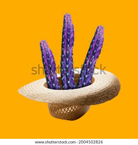 Modern art collage. Bright purple cactus growing from straw hat isolated on yellow background. Copyspace for design, ad.