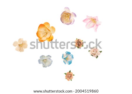 Set of paper flowers for scrapbooking, isolated on white background
