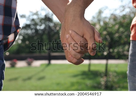 Gay couple holding hands together in park on sunny day, closeup
