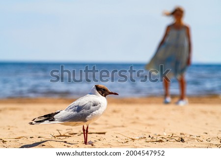 A seagull on the sandy beach by the sea. The silhouette of a girl by the water with her hair flowing in the wind.