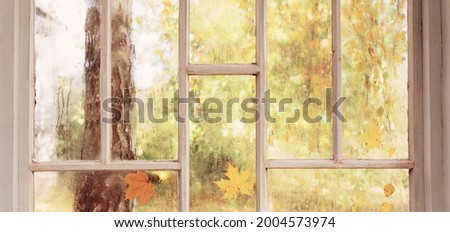 white old wooden window with rain drops and autumn leaves