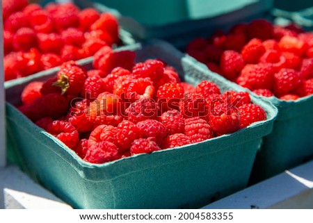 Raspberry u-pick, freshly picked raspberries at the pick your own farm Royalty-Free Stock Photo #2004583355