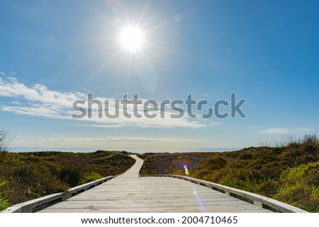 Long wooden walkway through coastal vegetation covered dunes to beach with rising sun burst and bright lens flare.