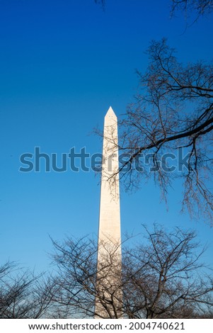 Washington Monument at National Mall at dawn, Washington  DC, USA 