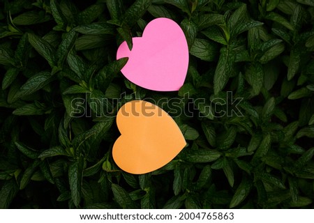 Heart Shaped Paper On Top Of Outdoor Nature Leafy Plant Bush. Symbol Of Love Placed Over Natural Environment Backdrop Of Forest Leaves.