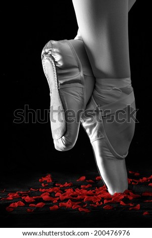 A ballet dancer standing on toes with rose petals on black background artistic conversion