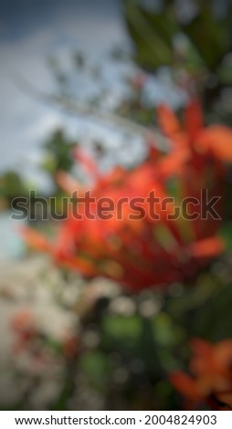 Blurred image for background of red flowers in blooming.