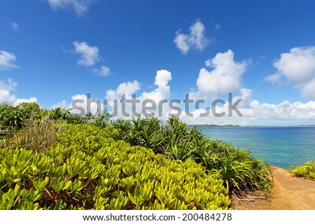 Beautiful subtropical Okinawa