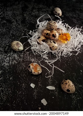 A picture of quail eggs taken in a dark mood that can be used as a background.