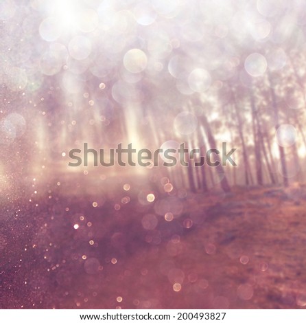 light burst among trees, blured background