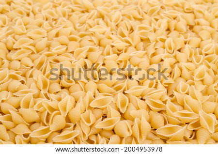 Dry shell pasta on a textile background. Top view. Copy space.