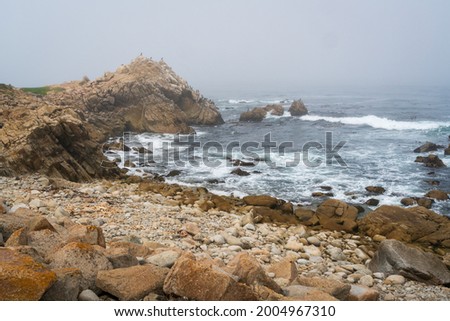 17 Mile Drive Coastal Front in Pacific Groove