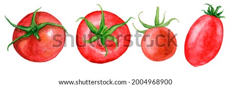 Hand drawn watercolor set of red tomatoes isolated on white background