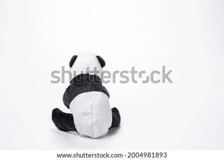 Little panda soft toys isolated on white background. Copy space.