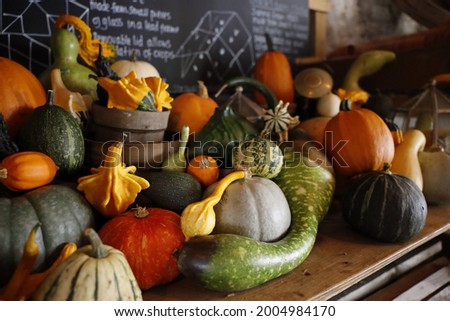 Small large green yellow pumpkin and other vegetables like gourd etc.