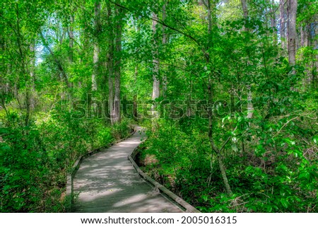 Walkway, Sandhills Horticultural Gardens, Pinehurst, North Carolina Royalty-Free Stock Photo #2005016315