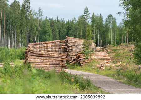 Deforestation, newly cut down forest, clear felled area in Sweden. Nature photography in summer time. Stack of timber and trunks by the side of the road.