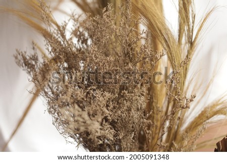 flower and leaf dried in a basketcase