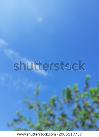 Defocused abstract background of blue sky and tree