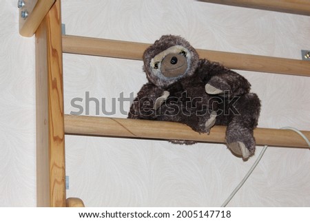 The child left a soft toy sloth on the wall bars