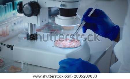 Unrecognizable scientist examining cell grown meat sample Royalty-Free Stock Photo #2005209830