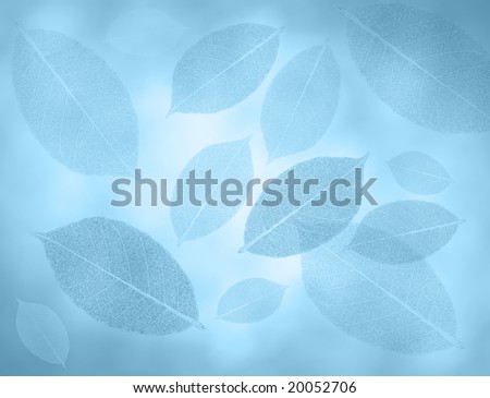 Blue leaves background