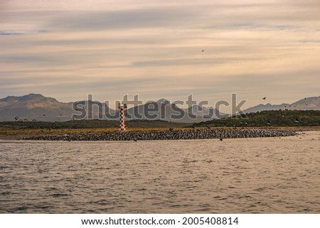 Panoramic view of colony of king cormorants at the lighthouse in Beagle Channel, Patagonia, Tierra del Fuego National Park, summer time, reddish sunset Royalty-Free Stock Photo #2005408814