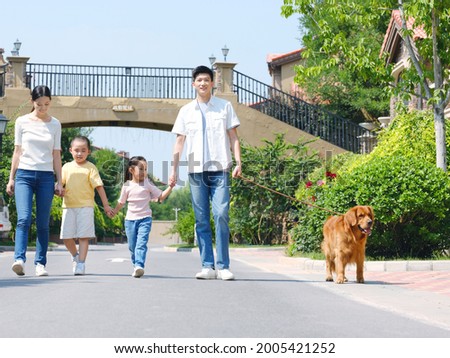 Happy family of four walking dogs outdoors high quality photo
