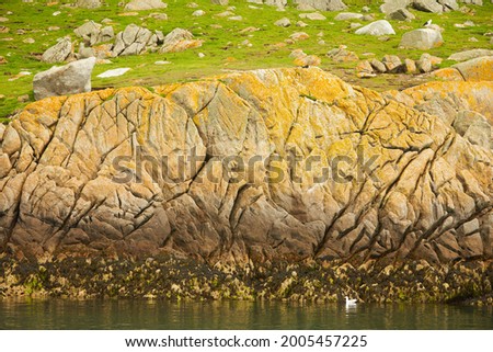 Moss and green grass on a rock face. Relief and texture of stone with patterns and moss. Stone natural background. Stone with Moss.